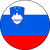 Reprezentacja Słowenii