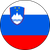 Reprezentacja Słowenii
