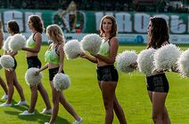 Cheerleaders w Bielsku-Białej (foto)