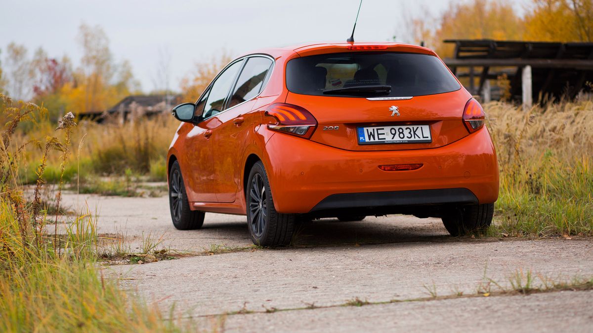 Zdjęcie ilustracyjne do artykułu