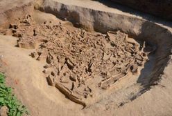 Słowacja: odnaleziono zbiorową mogiłę sprzed 7000 lat. Ofiary pozbawiono głów
