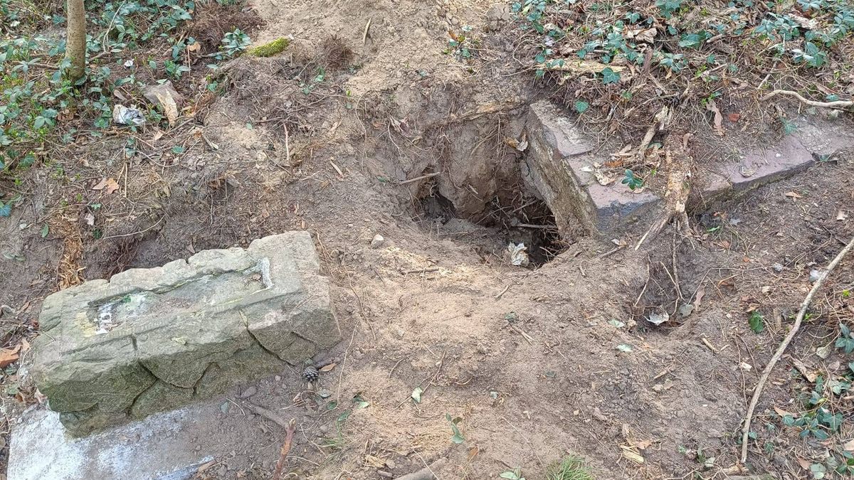 Pod Jarocinem zdewastowano stary cmentarz żydowski