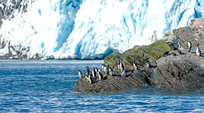 Antarktyda: rejs życia