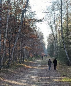 Mieszkańcy stolicy zamiast na cmentarze ruszyli do lasów i parków