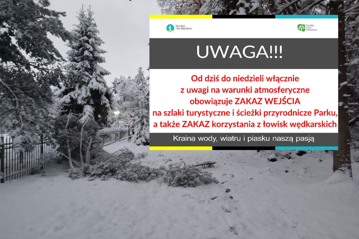 Zakaz wejścia do Słowińskiego Parku Narodowego. "Konary lecą nam na głowę"