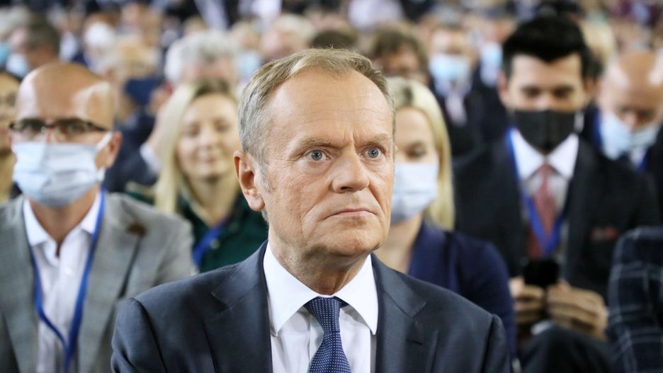 tusk