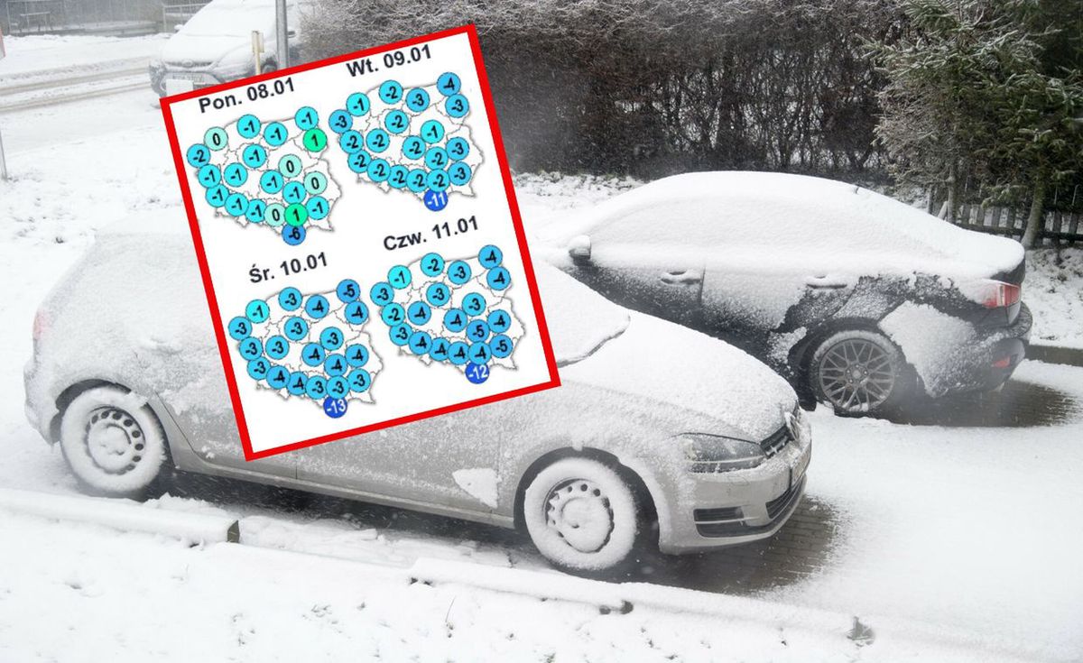 Prognoza pogody na styczeń