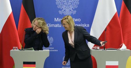 Niemiecka minister dla money.pl: "Śmierć ryb w Odrze szokuje i bardzo mnie smuci"