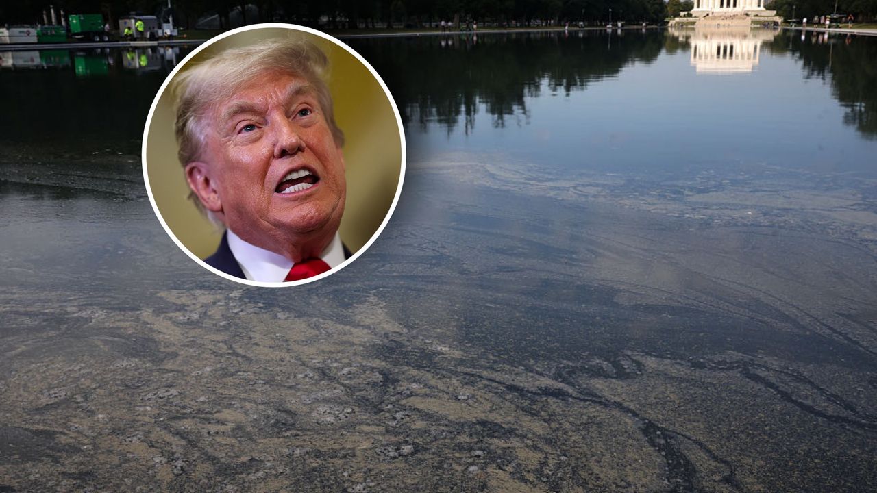 Perła Trumpa zarosła glonami. Biały Dom mówi o wandalizmie