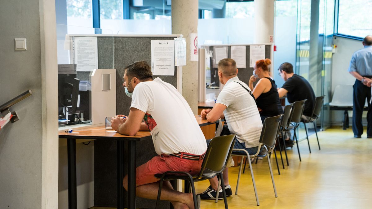 urząd praca urzędnik bezrobotni bezrobocie urząd pracy formularz