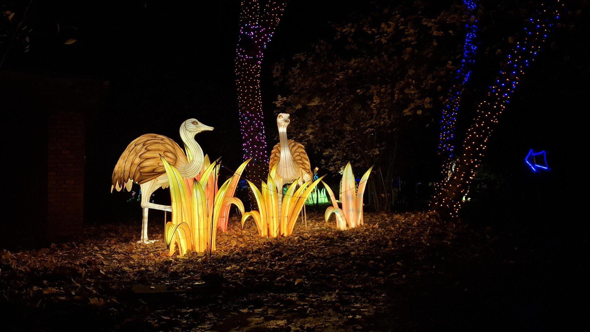 Garden of Lights Wrocław