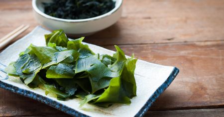 Glony wakame – charakterystyka, skład, właściwości, jak je przygotować