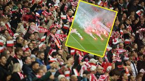 PZPN wydał oświadczenie ws. meczu z Holandią. Są przeprosiny