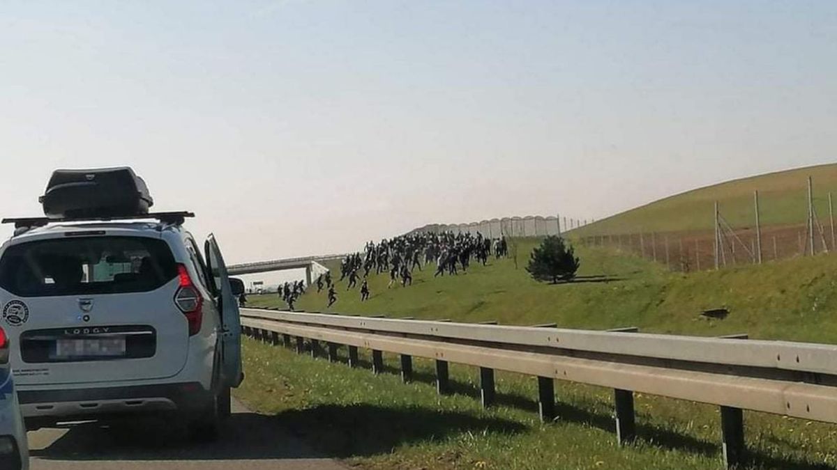 starcie kibiców na autostradzie