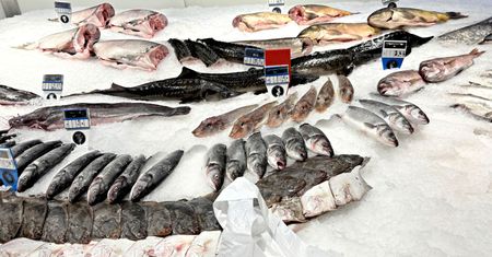 Ryby dzikie czy hodowlane? Prawda o rtęci i antybiotykach