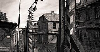 80. Rocznica Wyzwolenia Auschwitz: Świat wspomina ofiary Holokaustu
