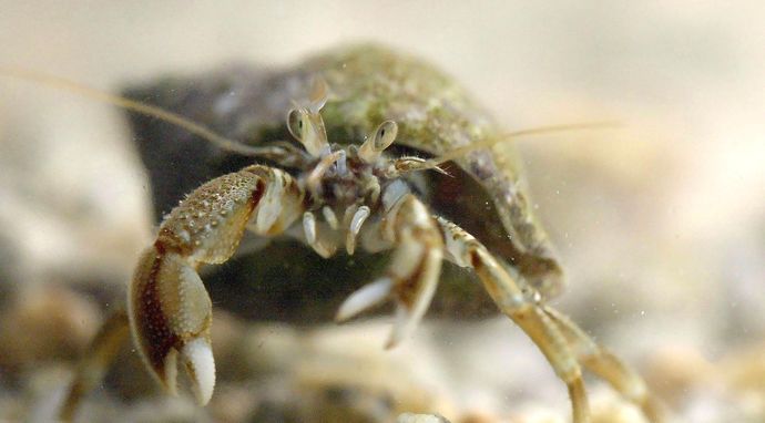 13 godzin, by przetrwać