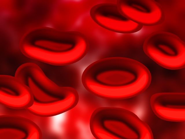 Płytki krwi to podstawowy element morfotyczny krwi