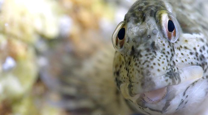 13 godzin, by przetrwać