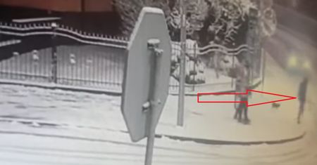 14-latka potrącona na pasach. Policja opublikowała nagranie