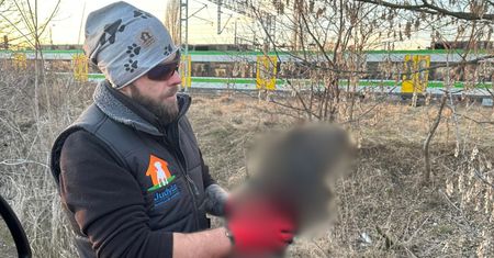 Makabryczne odkrycie obok płotu. "Twardy jak kamień"