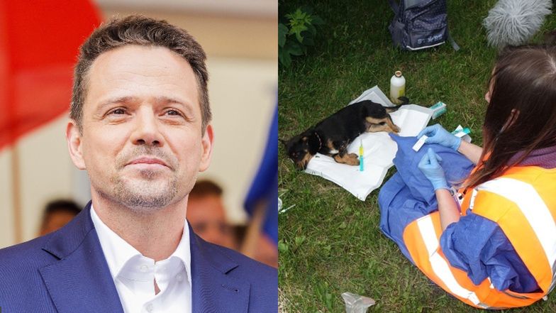 Rafał Trzaskowski przyjmuje sto zwierząt ze schroniska w Radysach