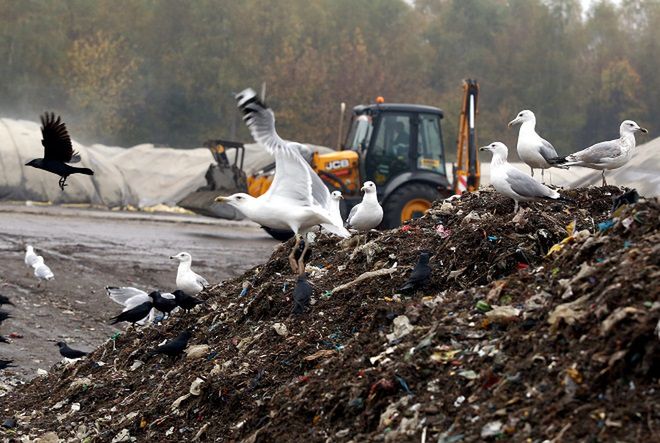 Największa góra śmieci w Europie mieści się pod Warszawą