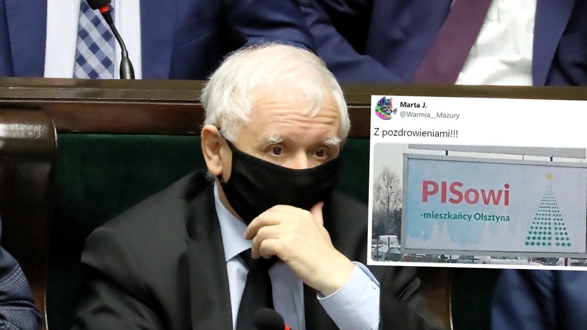 pis kaczyński