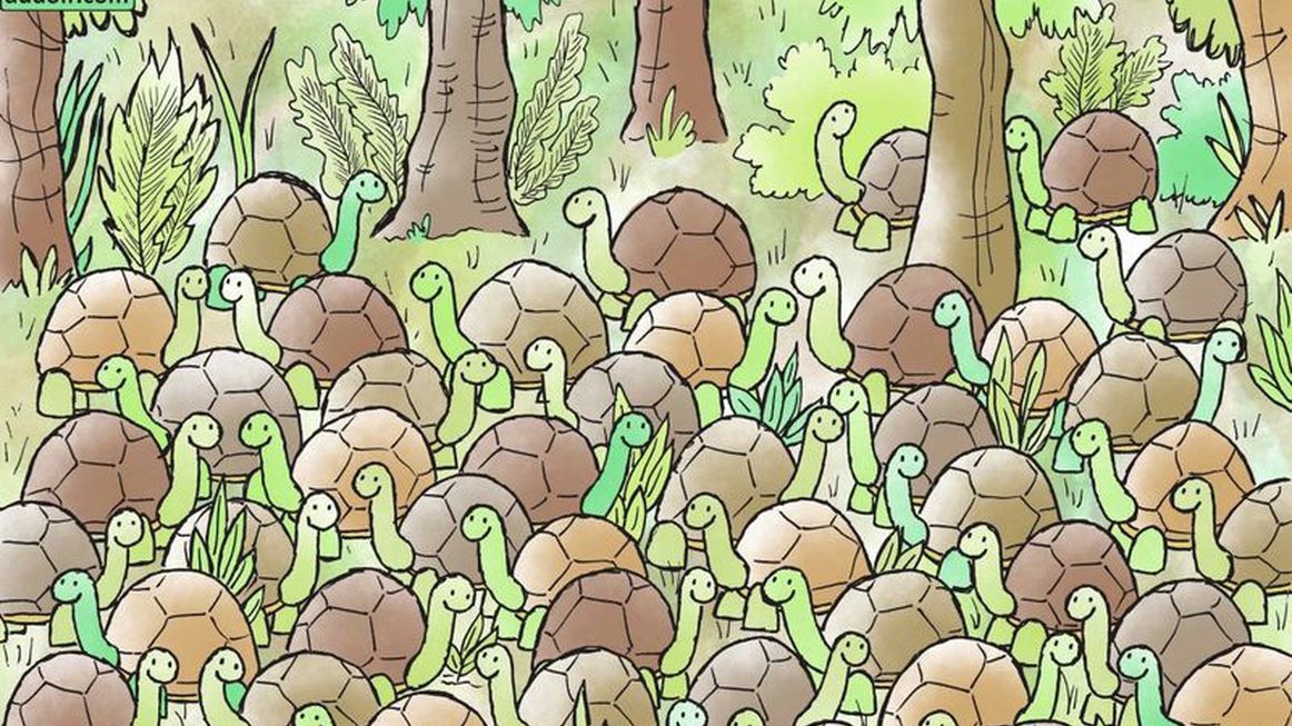 Gdzie ukrył się wąż? 