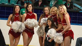 Cheerleaders podczas meczu Śląsk-Radex