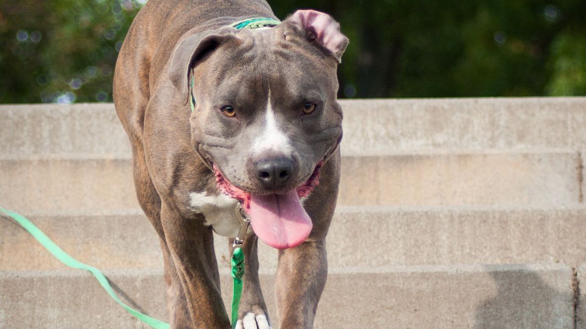 Zdjęcie ilustracyjne.