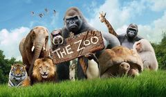 Nowy serial „Zoo” na antenie Boomeranga