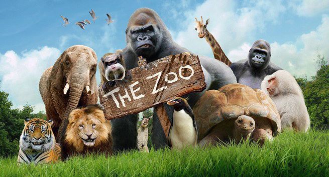 Nowy serial „Zoo” na antenie Boomeranga