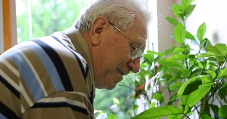 Zbadali krew ludzi, którzy dożyli 110 lat. Tajemnica długowieczności odkryta?