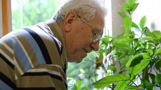 Zbadali krew ludzi, którzy dożyli 110 lat. Tajemnica długowieczności odkryta?
