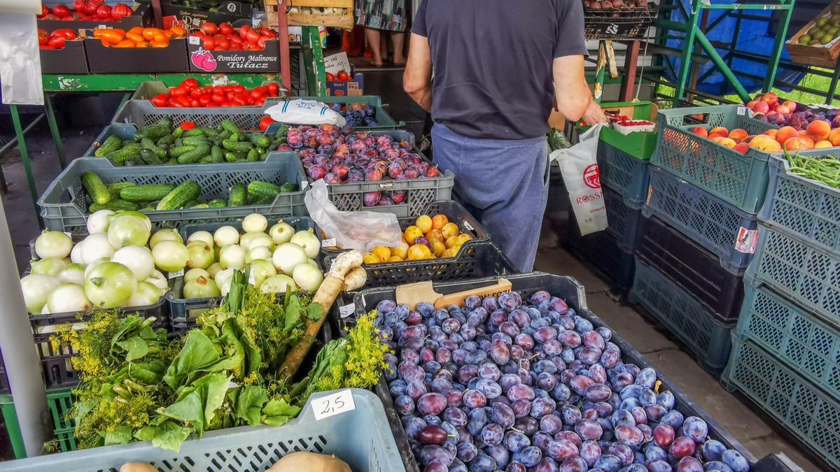 Reporter archiwum 2024 09
07.09.2024 Lodz. Osiedlowy warzywniak na lodzkich Chojnach. Fot. Piotr Kamionka/REPORTER
Piotr Kamionka/REPORTER