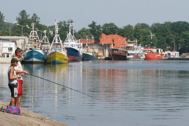 Obraz