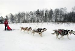 Śnieżny transport