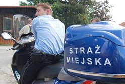 Zamiast dbać o porządek, wystawiają mandaty kierowcom
