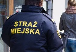 Po co nam nowi strażnicy?