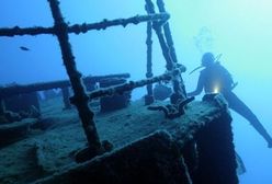 100 tysięcy za odnalezienie skarbu