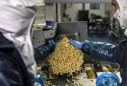 Opole: Pasta Food rozpoczyna inwestycję za 80 mln zł