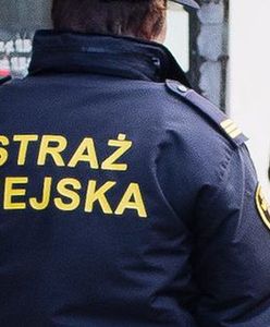 Tak straż miejska łamie prawo