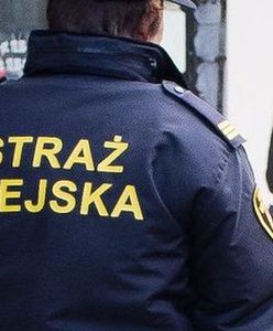 Strażnicy oszuści legalnie bezkarni