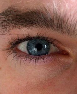 Informatyk - ile naprawdę zarabia?