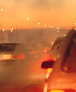 Warszawiak do pracy jedzie 17 dni w roku