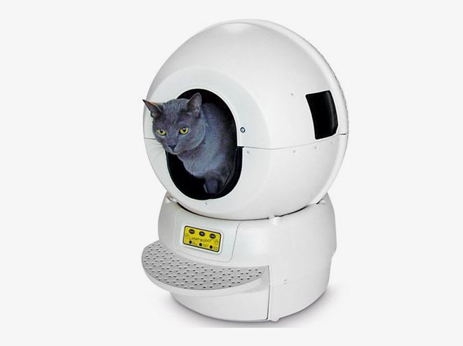 Litter Robot - odkurzacz dla kota
