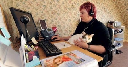 Zagubieni i sfrustrowani. Ale zarabiają
