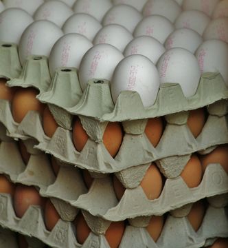 Kryzys na rynku jaj. Ratunkiem ukraiński gigant z warszawskiej giełdy?