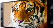 Nowe telewizory Sony 4K z nowej serii X9